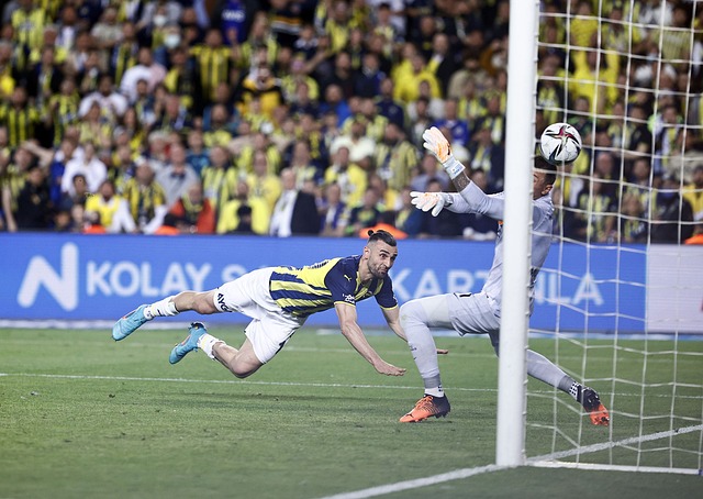 有助于防止 有助于防止