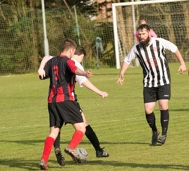 尽管哈登努 尽管哈登努